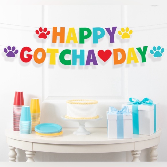 Way to Celebrate Happy Gotcha Day Banner 8.5" x 96" Multicolor - Picture 3 of 5